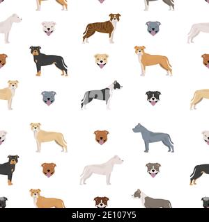 Modello senza giunture Staffordshire bull terrier. Set di caratteri Staffy. Illustrazione vettoriale Illustrazione Vettoriale