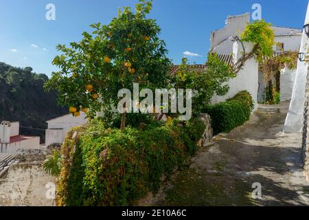 Passeggia per le strade bianche del comune di Salares, nella provincia di Malaga, Andalusia Foto Stock