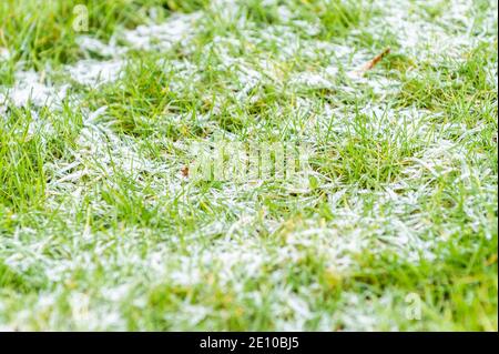 Timoleague, West Cork, Irlanda. 3 gennaio 2021. Dopo che le temperature hanno raggiunto -4 per tutta la notte, questa mattina era presente un gelo pesante. La giornata sarà prevalentemente asciutta con sole invernale e alti da 1 a 4 gradi. Credit: AG News/Alamy Live News Foto Stock