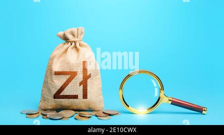 Borsa di denaro con zloty e lente d'ingrandimento. Origine dei fondi di capitale. Revisione del bilancio per risparmiare denaro. Controllo dell'audit finanziario. La posizione più favorevole Foto Stock