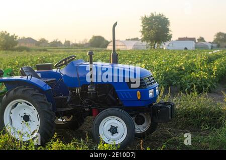 Un trattore agricolo senza conducente si trova su un campo agricolo al tramonto. Sovvenzionare e sostenere le aziende agricole, ammodernare le attrezzature e le macchine tecniche. Foto Stock