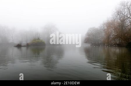 Un lago d'inverno in una mattinata foggosa con riflessi di acque ferme. Foto Stock