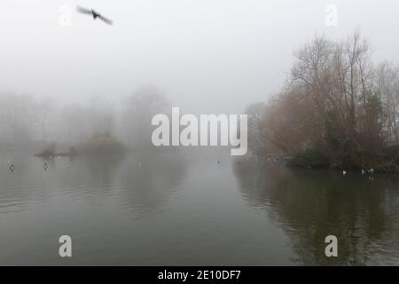 Un lago d'inverno in una mattinata foggosa con riflessi di acque ferme. Foto Stock