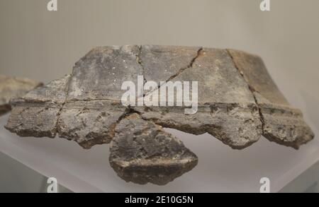 Cultura Castro. Frammento di una ceramica decorata. Da Castro di Elviña (V secolo a.C.-II sec. d.C.). La Coruña (Galizia, Spagna). Museo Archeologico e di Storia (Castello di San Anton). A Coruña, Galizia, Spagna. Foto Stock