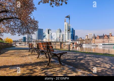 Skyline con grattacieli di Francoforte. Quartiere finanziario con edifici commerciali di giorno con il sole. Riva del fiume principale in primavera con albero e b Foto Stock