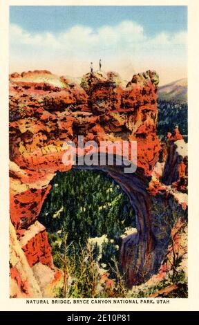 Natural Bridge, Bryce Canyon National Park, Utah - 1936-il Natural Bridge è noto per la sua bellezza di forma e colorazione delicata, piuttosto che per le dimensioni, e dovrebbe essere visto per essere apprezzato. Il Bryce Canyon National Park è raggiungibile tramite autobus da Cedar City, Utah, sulla linea della Union Pacific Railroad Company, 275 km circa a sud di Salt Lake City, che è la porta d'ingresso a questa e ad altre attrazioni panoramiche nello Utah meridionale Zion National Park, Cedar Breaks, anche Kaibab National Forest e North Rim del Grand Canyon, Arizona. Foto Stock