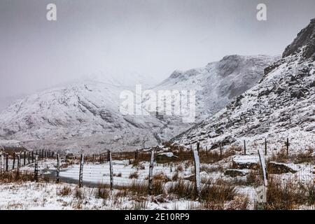 Moel Dduallt, Dolwyddelan, Gwynedd, Galles del Nord Foto Stock