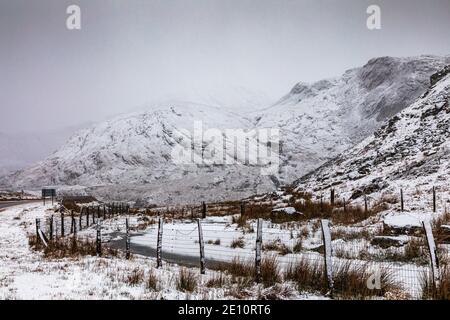 Moel Dduallt, Dolwyddelan, Gwynedd, Galles del Nord Foto Stock
