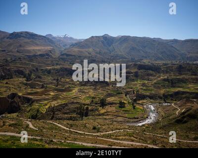 Vista panoramica delle terrazze pre inca e dell'agricoltura Nella valle del Canyon del Colca Arequipa andes montagne Perù Sud America Foto Stock