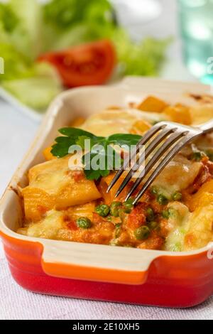 Rigatoni alla Emiliana Foto Stock