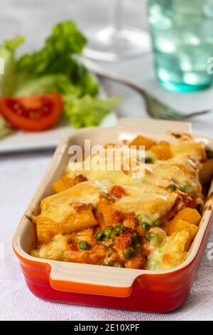 Rigatoni alla Emiliana Foto Stock