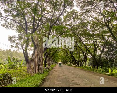 Vista sulla strada del Bangladesh nel pomeriggio. Foto Stock