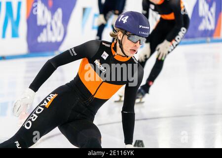 HEERENVEEN, PAESI BASSI - 3 GENNAIO: Jens van t Wout durante i Campionati nazionali olandesi Allround Shorttrack a Thialf Icerink il 3 gennaio 2 Foto Stock