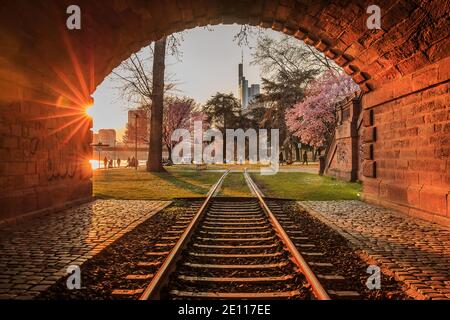 Tunnel in mattoni con percorso storico nel parco sul fiume meno a Francoforte. Vista dello skyline di Francoforte in serata al tramonto. Alberi con fiore viola Foto Stock