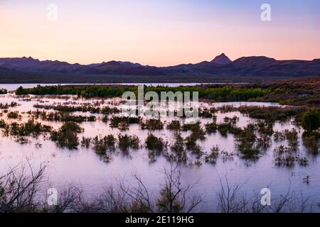 Tramonto di Alamo Lake, Wenden, Arizona. Foto Stock