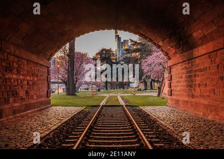 Vecchia ferrovia vicino al fiume meno a Francoforte con vista sugli alti edifici del quartiere finanziario in serata. Alberi con blosso Foto Stock