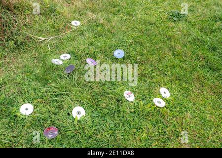 Saint John, NB, Canada - 24 ottobre 2020: CD di musica scartati gettati casualmente in erba. Foto Stock