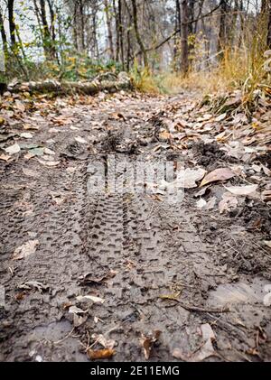 Piste di fango su una pista per mountain bike Foto Stock