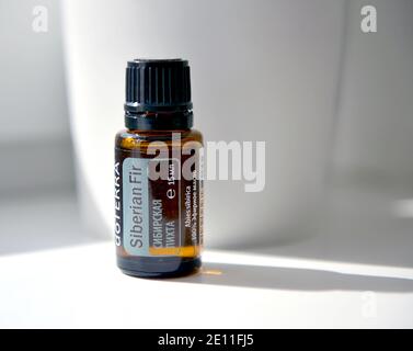 Aby sibirica Foto Stock