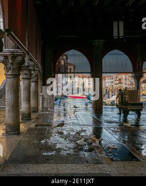 Gabbiani e resti di pesce al mercato del pesce sul Ponte di Rialto a Venezia Foto Stock