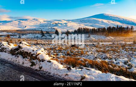 Moel Eilio, vicino a Waunfawr e Llanberis, Gwynedd, Galles del Nord. Vicino a Mount Snowdon. Immagine acquisita il 31 dicembre 2020 durante il blocco Covid. Foto Stock