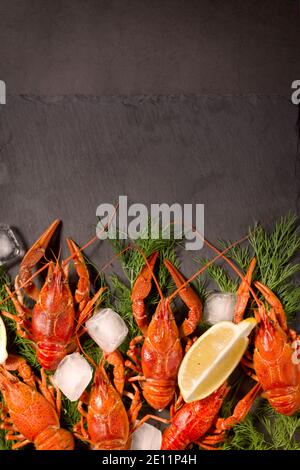 Aragosta rossa bollita, pronta a mangiare con fette di limone e cubetti di ghiaccio su una superficie nera. Spuntino a base di pesce fresco. Foto Stock