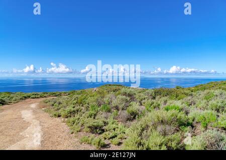 Strada sterrata e cespugli sulla scogliera con oceano in Crystal Cove state Park, California Foto Stock