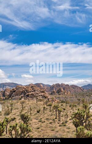 Cielo blu e nuvole sul panoramico Joshua Tree National Parco deserto paesaggio Foto Stock