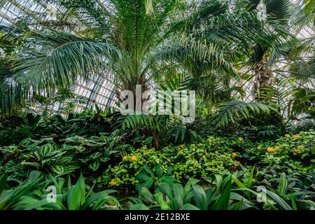 Splendide installazioni presso l'osservatorio Garfield Park Foto Stock