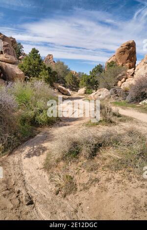 Joshua Tree National Park con percorso escursionistico nel deserto tra rocce giganti Foto Stock