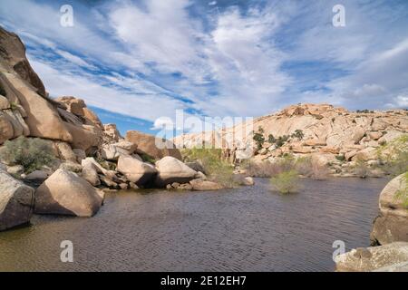 Vista del torrente su un sentiero natura escursionistico a Joshua Tree National Park California Foto Stock