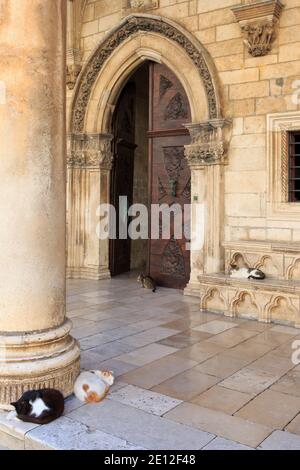 Gatti che dormono fuori dalla porta d'ingresso principale del Palazzo del Rettore a Dubrovnik, Croazia Foto Stock