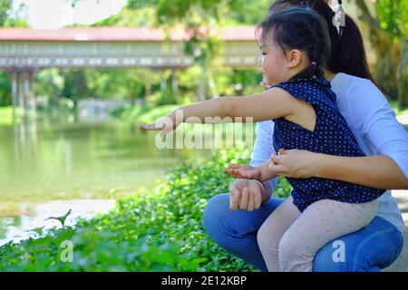 Una madre asiatica e una giovane figlia seduti insieme in un laghetto, guardando i pesci e divertendosi in una giornata di sole. Foto Stock