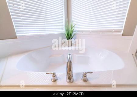 Primo piano della vasca da bagno incorporata con rubinetto in acciaio inox e pianta interna piccola Foto Stock