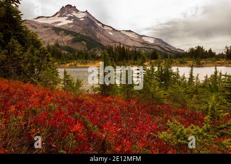 Il rosso brillante dei frutti di bosco dell'autum contrasta con i sempreverdi in primo piano in questa foto del lago Russell dell'Oregon e del monte Jefferson. Foto Stock