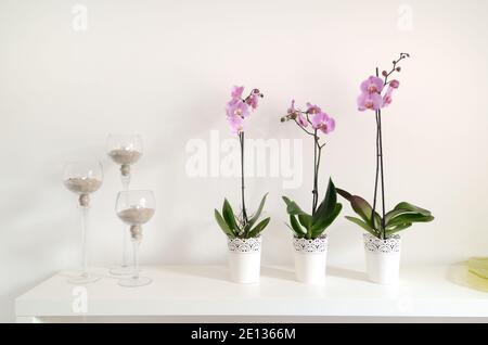 Abstract Still Life con tre Orchidee e candele in occhiali Contro sfondo bianco Foto Stock