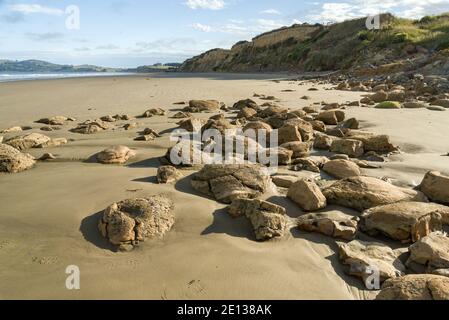 Grandi massi e pietre di diverse forme e dimensioni, tra cui i massi Moeraki, si stese su Koekohe Beach, Otago, South Island, Nuova Zelanda Foto Stock