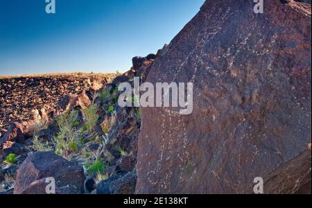 Incisioni rupestri a Boca Negra Canyon, Petroglyph National Monument, Albuquerque, Nuovo Messico, STATI UNITI D'AMERICA Foto Stock