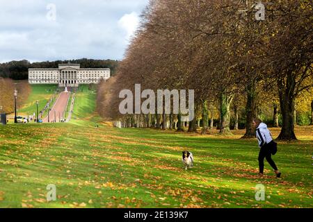 Una donna e il suo cane camminano di fronte agli edifici del Parlamento di Stormont, Irlanda del Nord, Regno Unito. Foto Stock