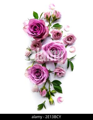 Quadro da rose su sfondo bianco. Lay piatto. Foto Stock