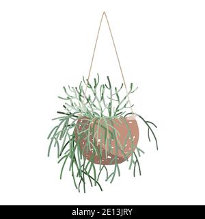 L'illistizione vettoriale del cactus della matita appeso in una pentola. Euphorbia tirucalli pianta isolata su bianco Illustrazione Vettoriale