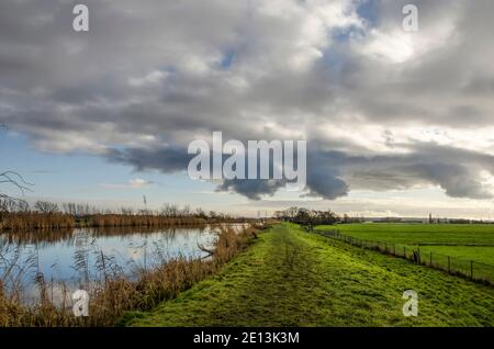 Sentiero fangoso escursionistico su una diga erbosa che alloggia un canale alberato sotto un cielo drammatico in una giornata invernale nella riserva naturale vlietlanden vicino a Schipluiden, il Foto Stock