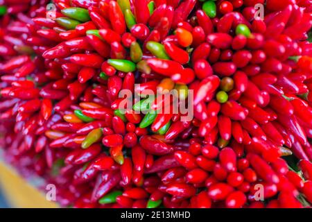 Rosso caldo peperoni fresco sfondo closeup Foto Stock