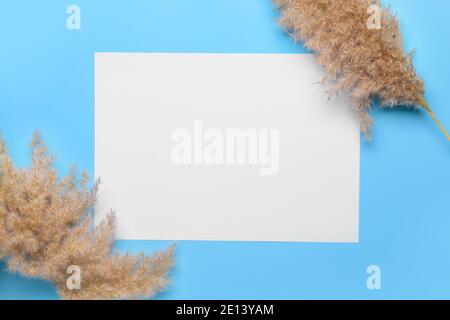 Foglio di carta vuoto e pampas erba su sfondo a colori Foto Stock