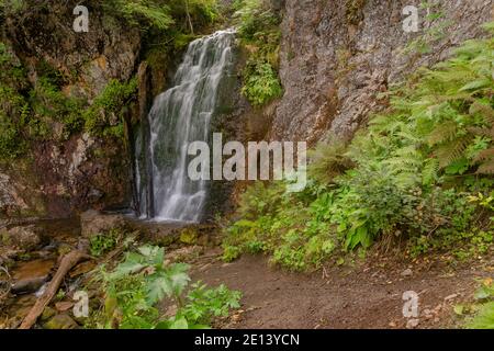 Piccola e accogliente cascata nella foresta in giornata di sole. Il fiume di montagna cade dalla scogliera sulle rocce, ruscello di acqua. Foto Stock