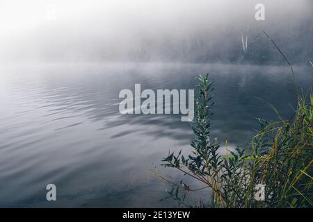 Nebbia sulla superficie dell'acqua sul lago. Mattina foschia sul fiume Foto Stock