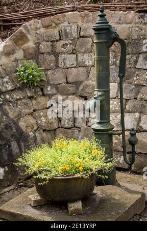 Pittoresca vecchia pompa d'acqua nella rurale Lione la Foret, Normandia, Francia Foto Stock