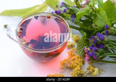 Fiori secchi, erbe e tazza di tè floreale su sfondo bianco Foto Stock