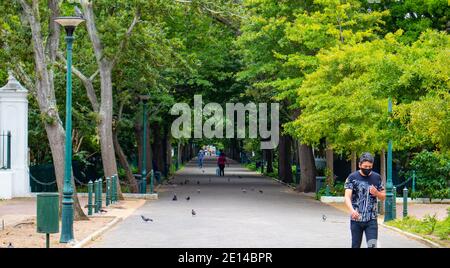 Gardens- Città del Capo, Sud Africa - 23/11/2020 alberi verdi vibranti che coprono un lungo percorso in mattoni con lampade verdi all'aperto sui lati. Uomo in maschera Foto Stock