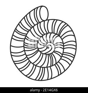 Grande conchiglia, forma rotonda con perle, guscio di molluschi calcarei, nero e bianco disegno a mano doodle vettore illustrazione Illustrazione Vettoriale